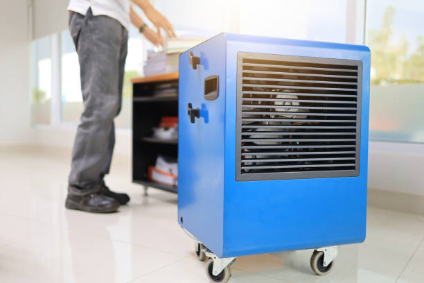 Trusted Glens Falls, NY Mold Removal Experts